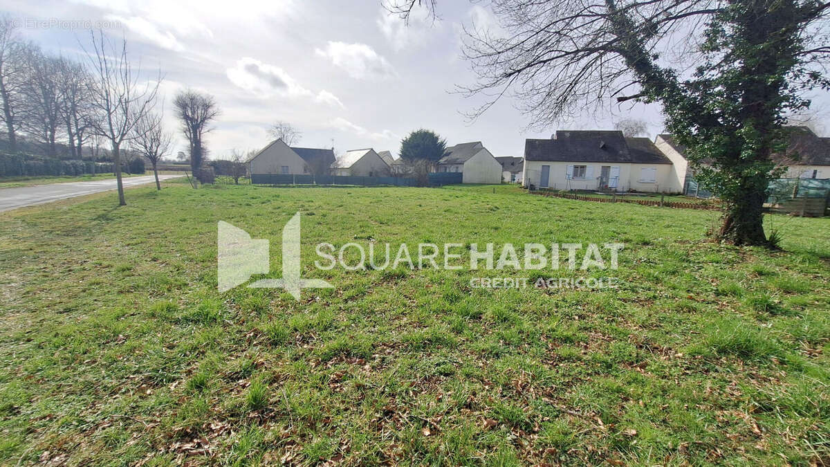 Terrain à RICHELIEU