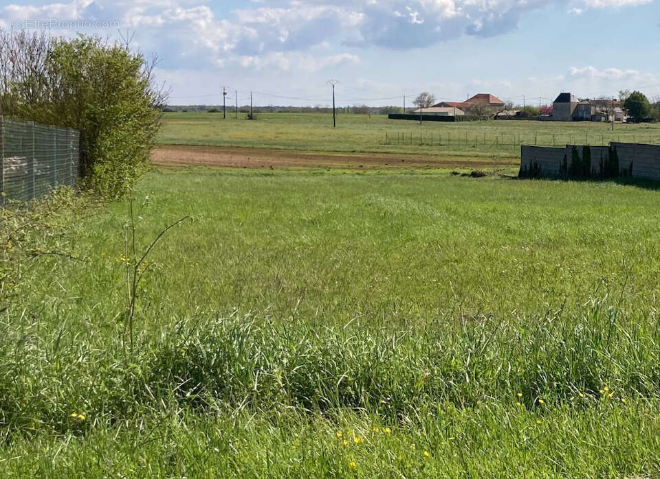 Terrain à CHAMPAGNOLLES