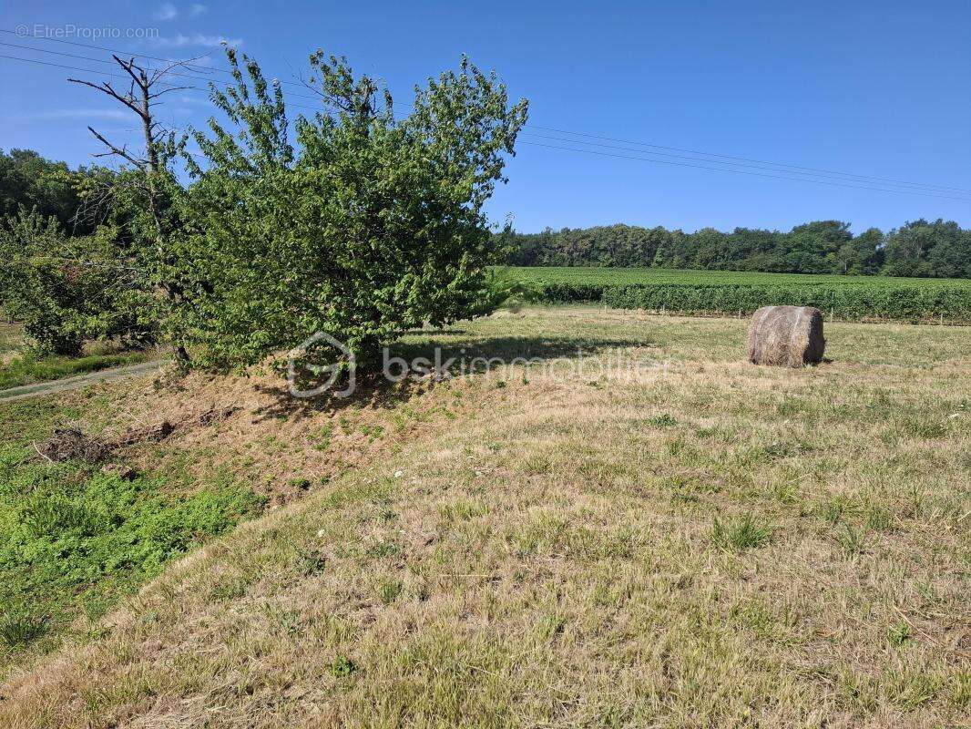 Terrain à bâtir 1490 m² – Mérignas (33350) - photo 2