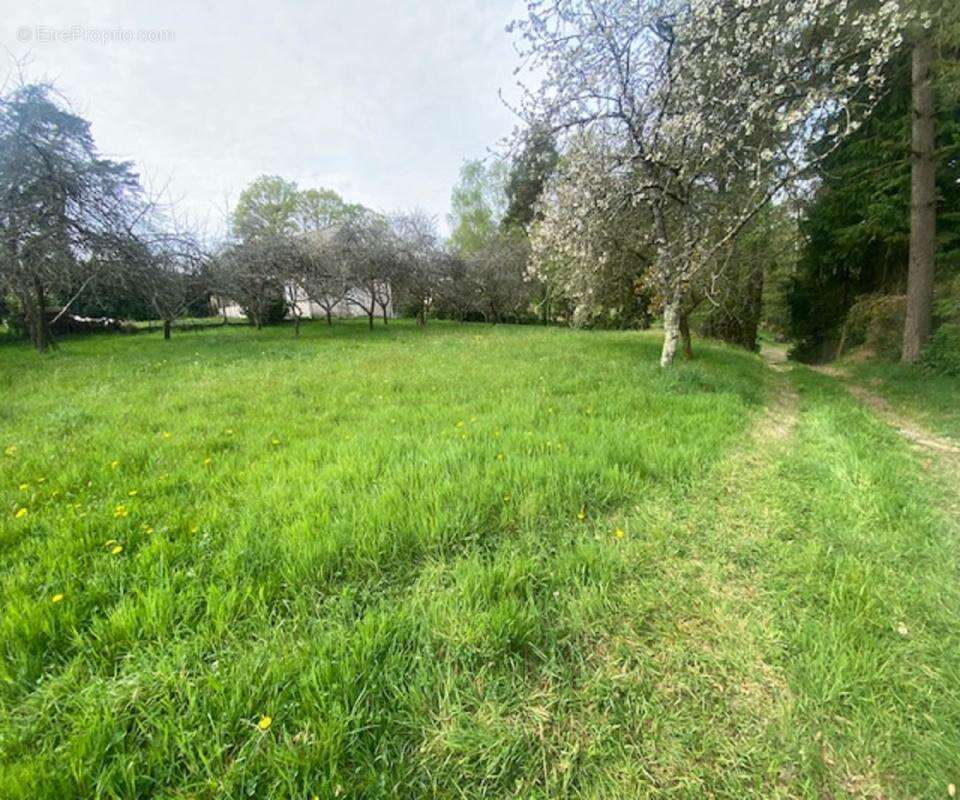 Terrain à MOLAC