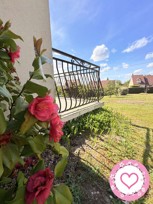 Maison à LES BORDES