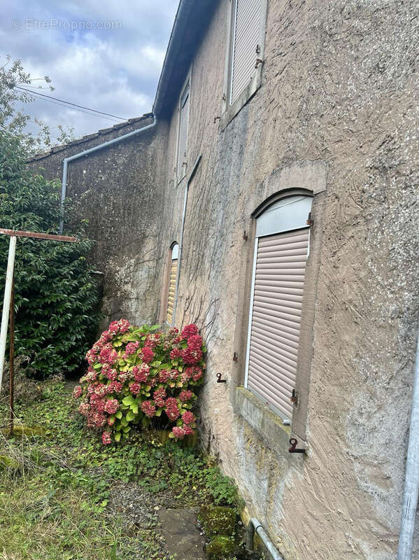 Maison à PETERSBACH