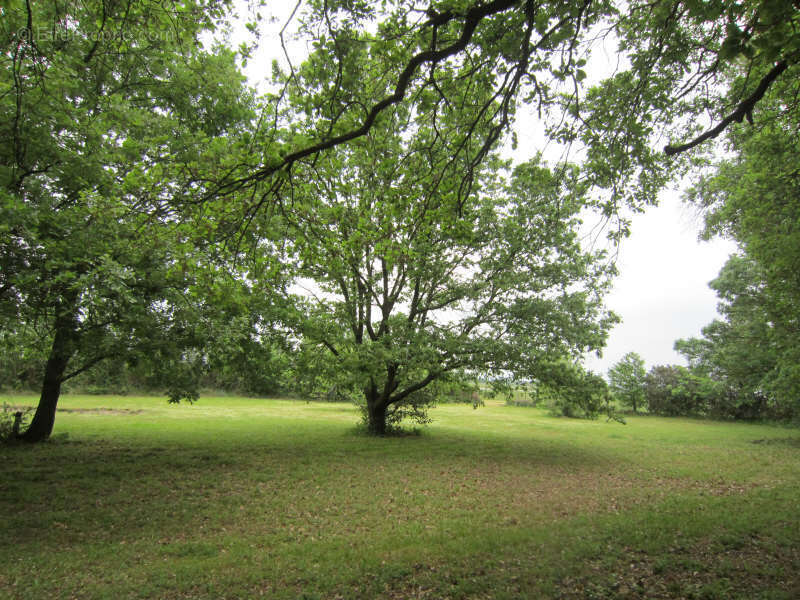 Maison à CARCASSONNE