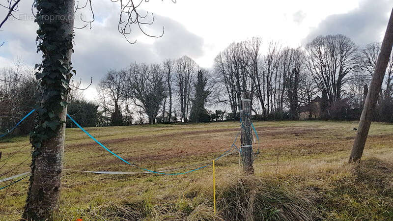Terrain à SIORAC-EN-PERIGORD