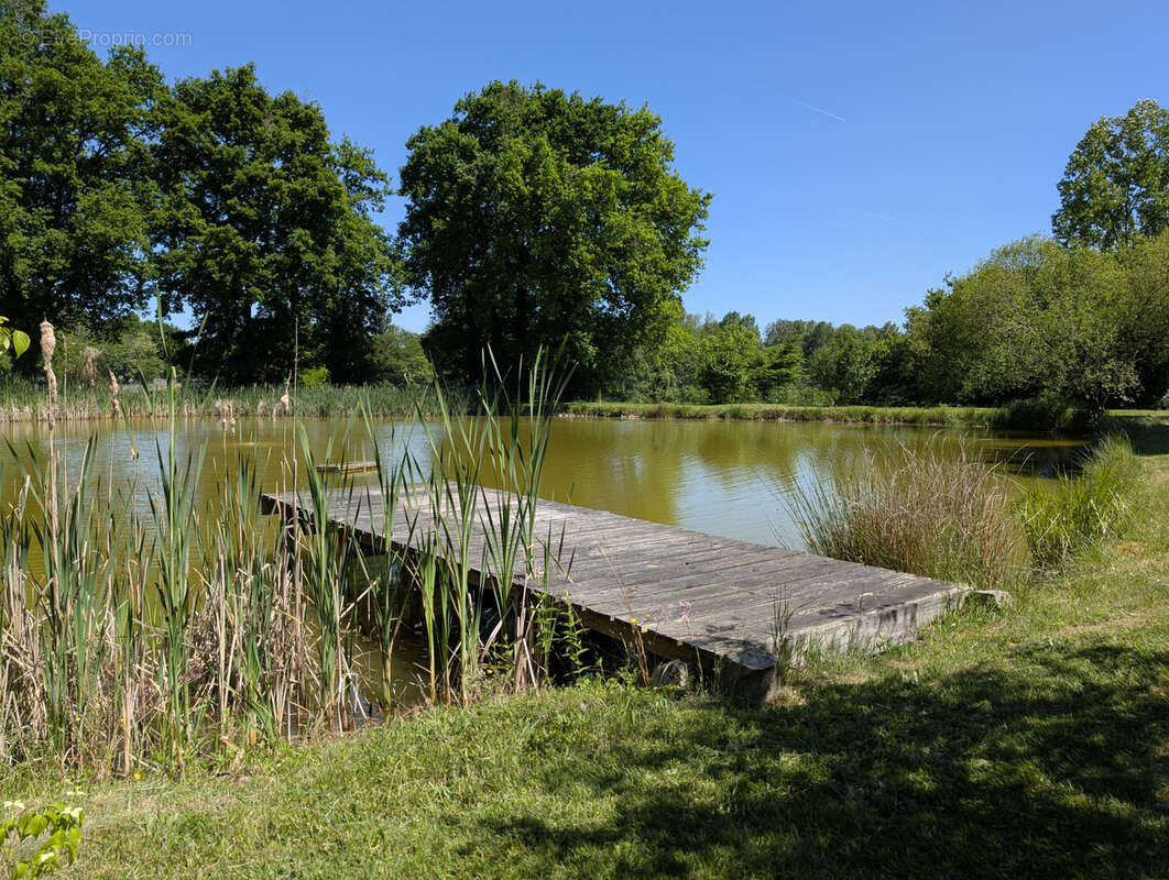Maison à PIERREFITTE-SUR-SAULDRE