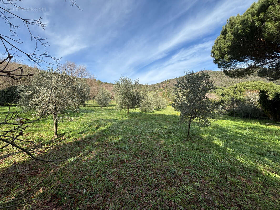 Maison à LA GARDE-FREINET