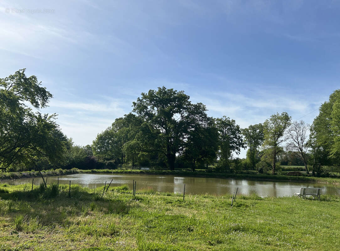 Propriété de 7473 m2 située au calme : maison avec dépendance et étang - photo 25