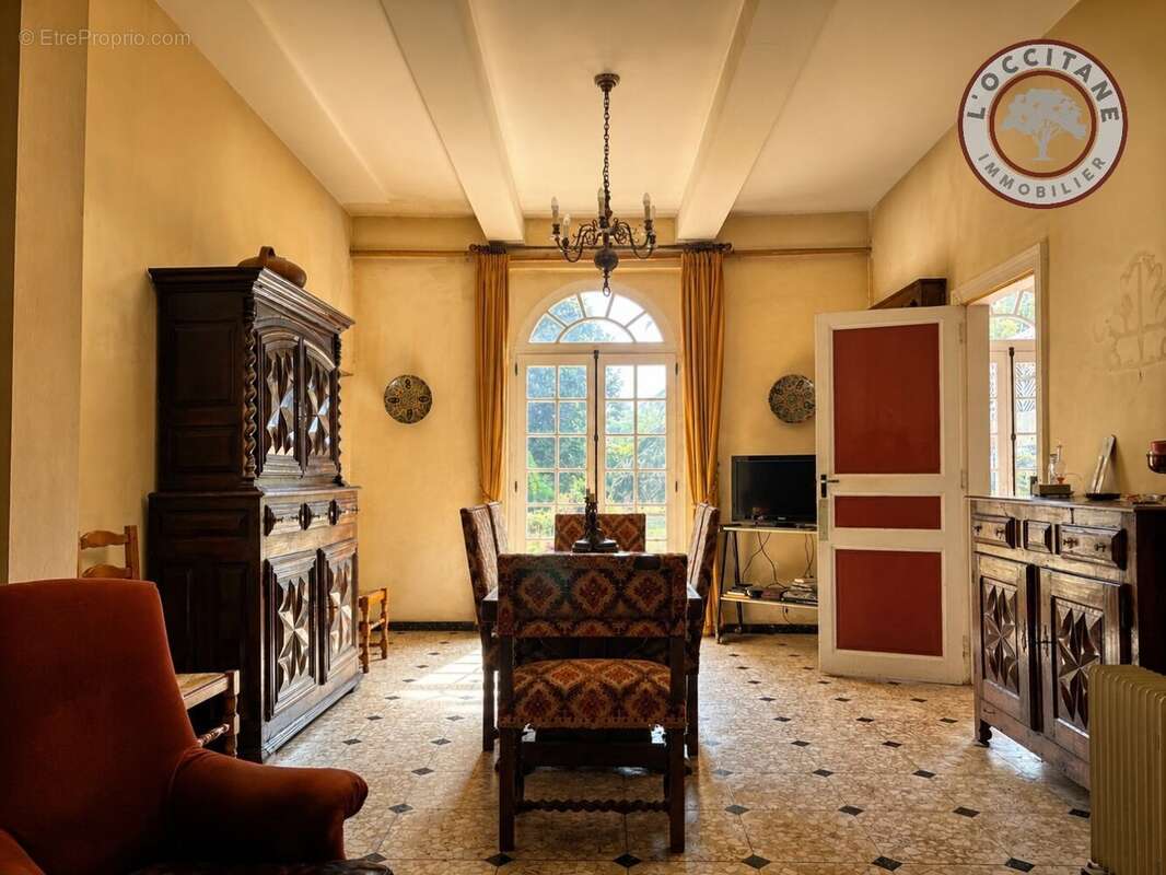 L'Isle-en-Dodon - Maison de maître à rénover avec vaste jardin et dépendances - photo 4