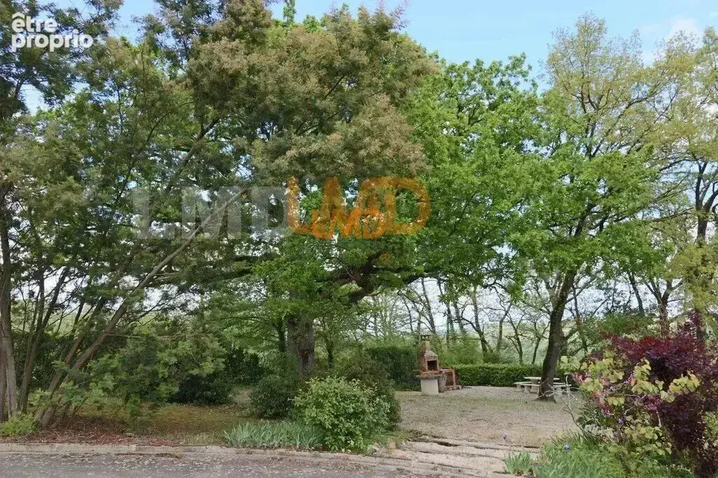 Maison avec piscine sur un terrain de 15328 m² Montaut 31410 - photo 8