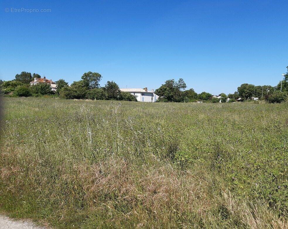 Terrain à MEURSAC