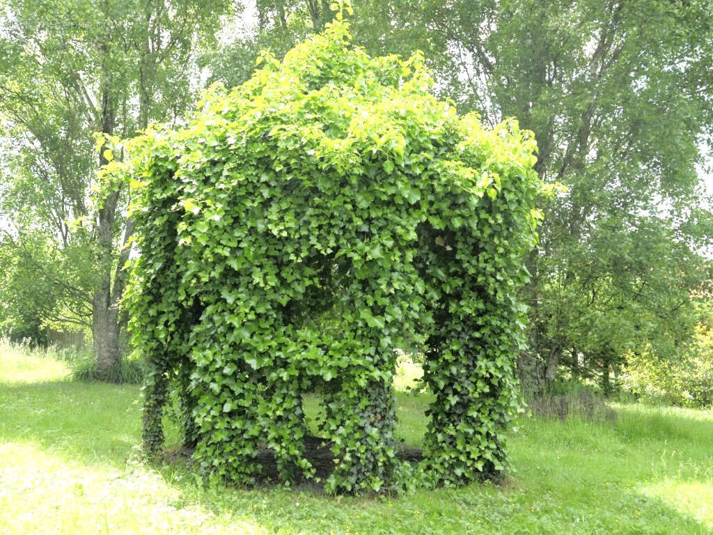 Maison à SAINT-JEAN-LE-VIEUX