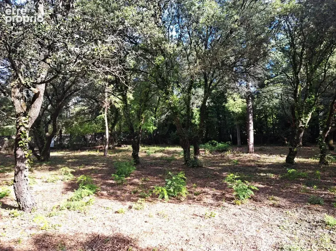 Terrain à bâtir de 700 m² à CABRIERES-D'AVIGNON (84) - photo 2