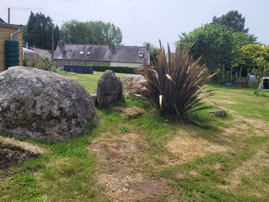 LONGERE sans travaux, au calme de la campagne, à 3 km des commerces, terrain arboré - photo 4