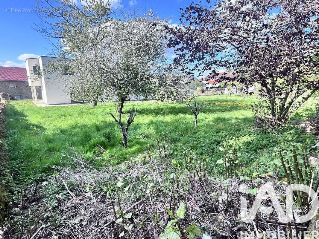 Photo 2 - Terrain à HAUCOURT-MOULAINE