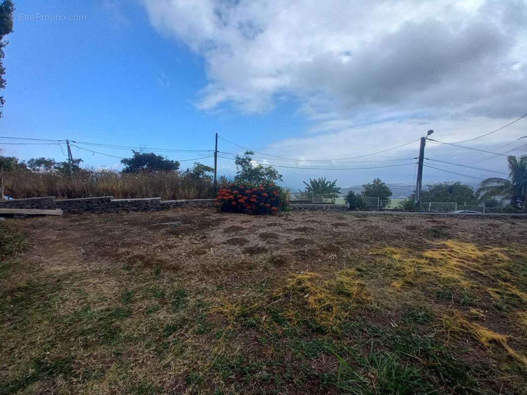 Terrain à SAINT-PAUL
