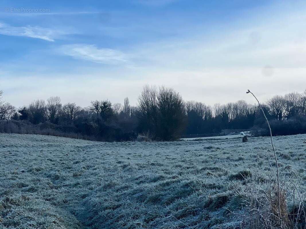 Terrain à VIMOUTIERS