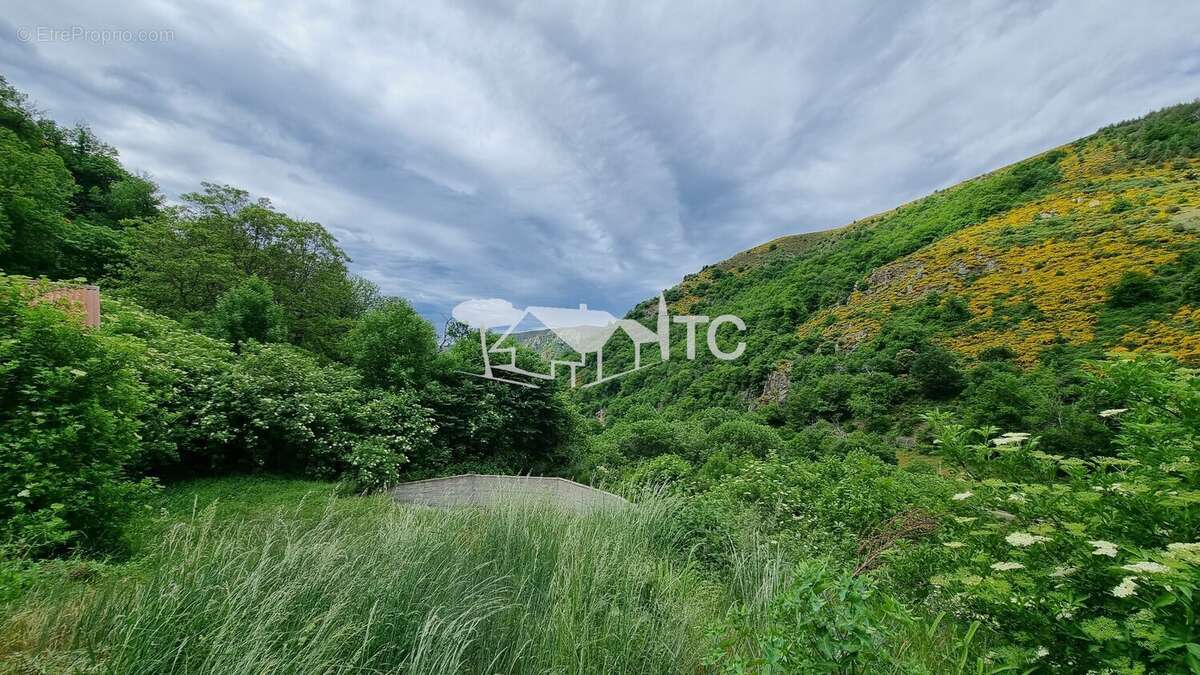 Maison à MONTSELGUES