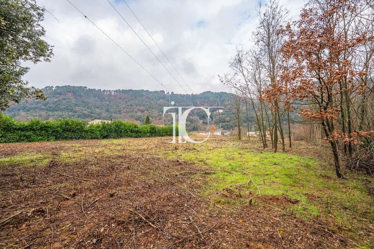 Terrain à CHAMBONAS