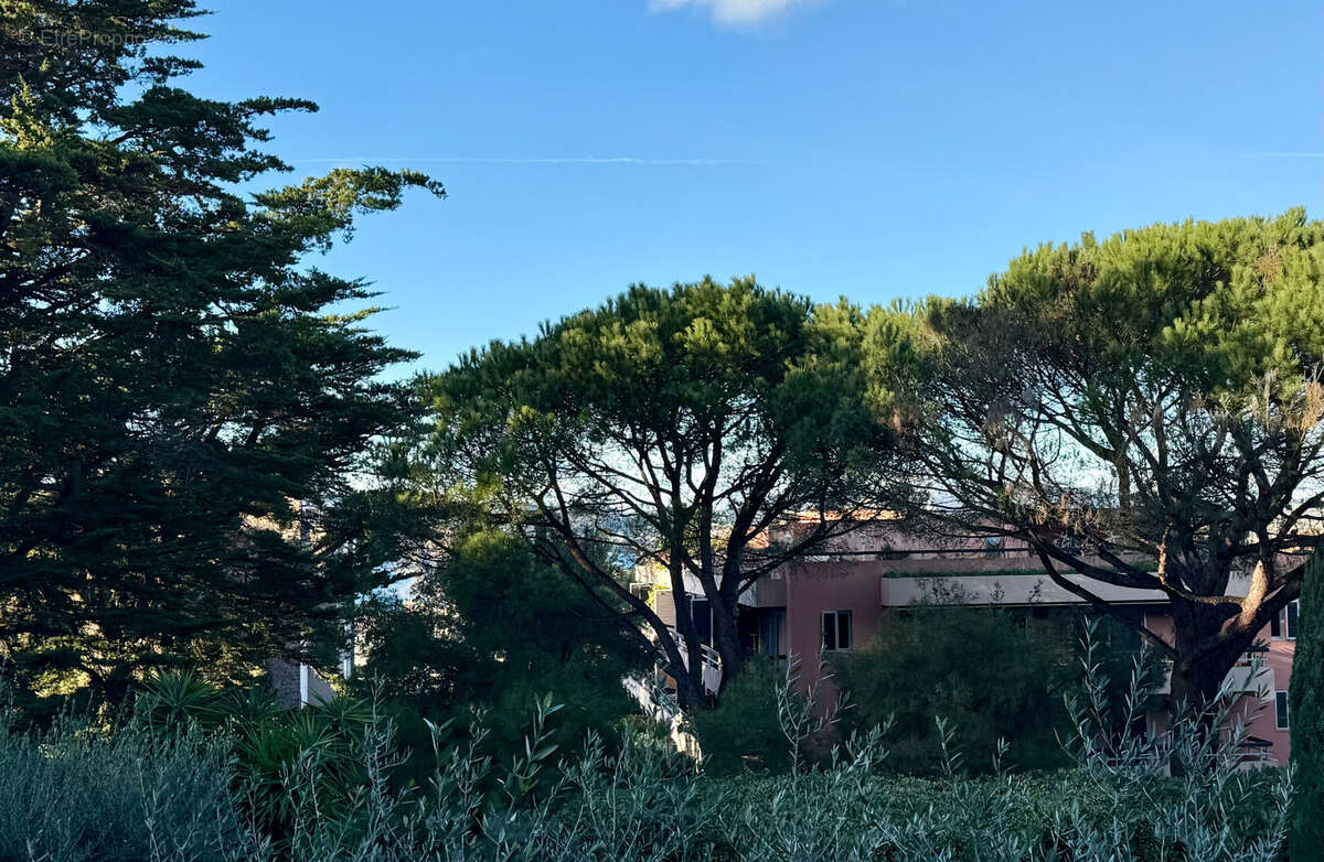 Appartement à SAINT-TROPEZ