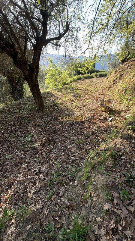 Terrain à CONTES