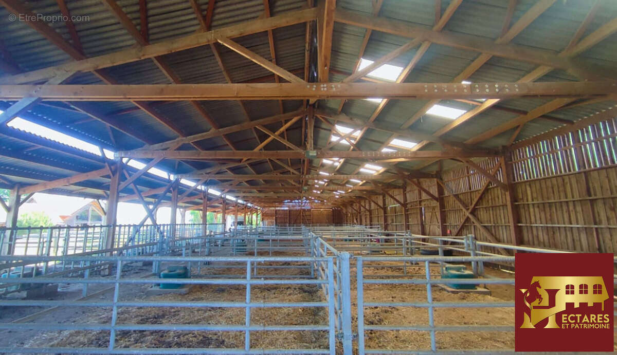 Propriété équestre 2,6 hectares - photo 13