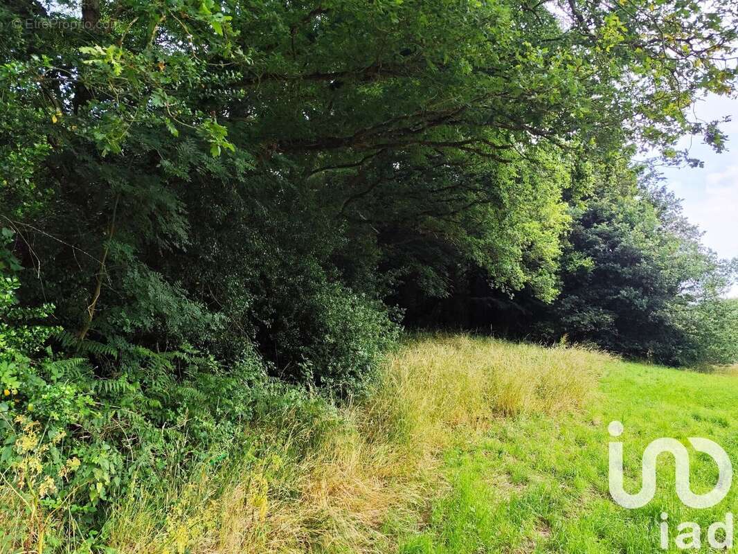 Photo 5 - Terrain à SAINT-JACUT-LES-PINS