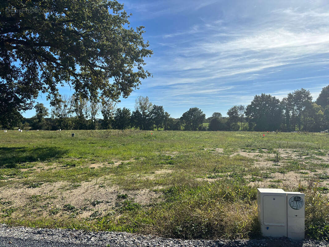 Terrain à SAINT-MARS-DU-DESERT
