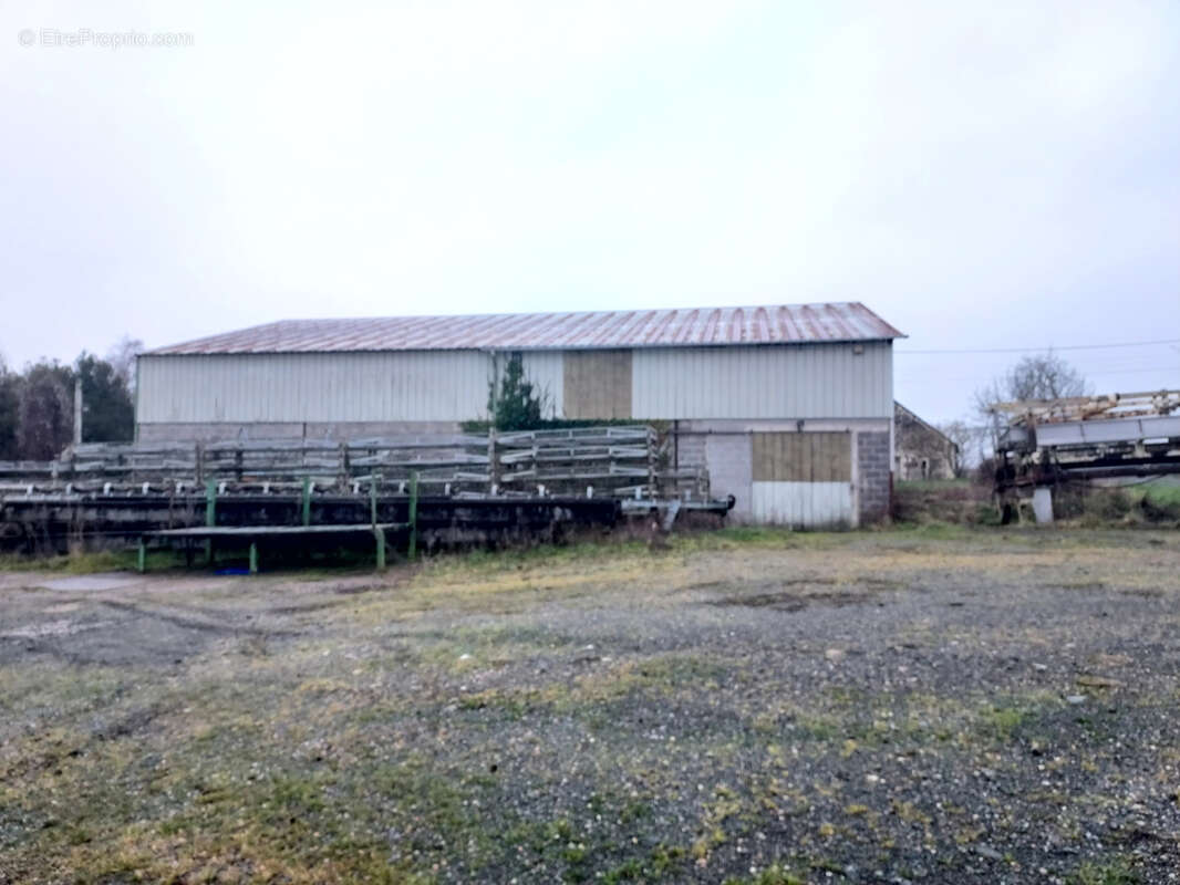 Commerce à BOURGUEIL