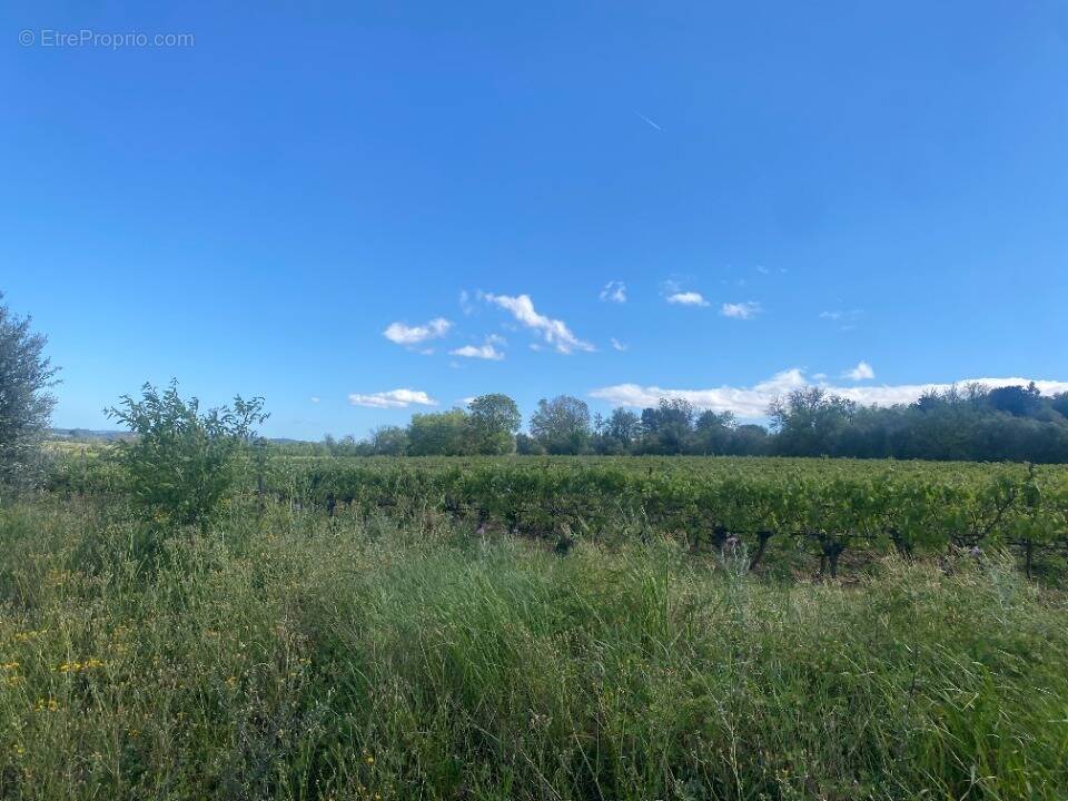 Terrain à GINESTAS