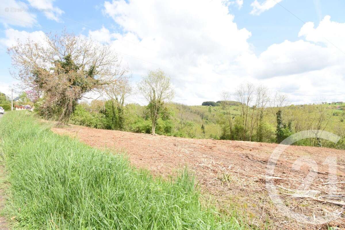 Terrain à CREUZIER-LE-VIEUX