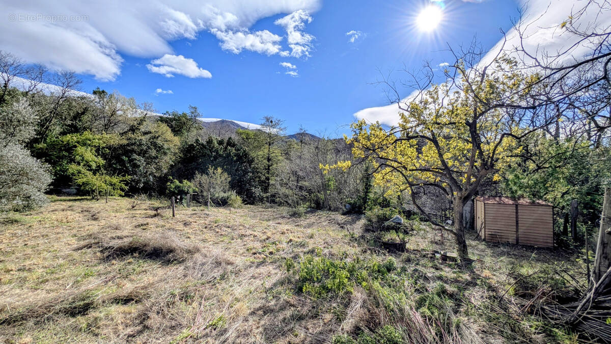Terrain à VILLELONGUE-DELS-MONTS