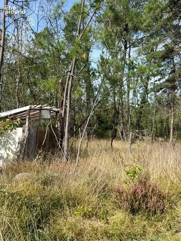 À vendre – argol – finistère – presqu’île de crozon-exceptionnel terrain de loisirs de 40 000 m² - photo 45