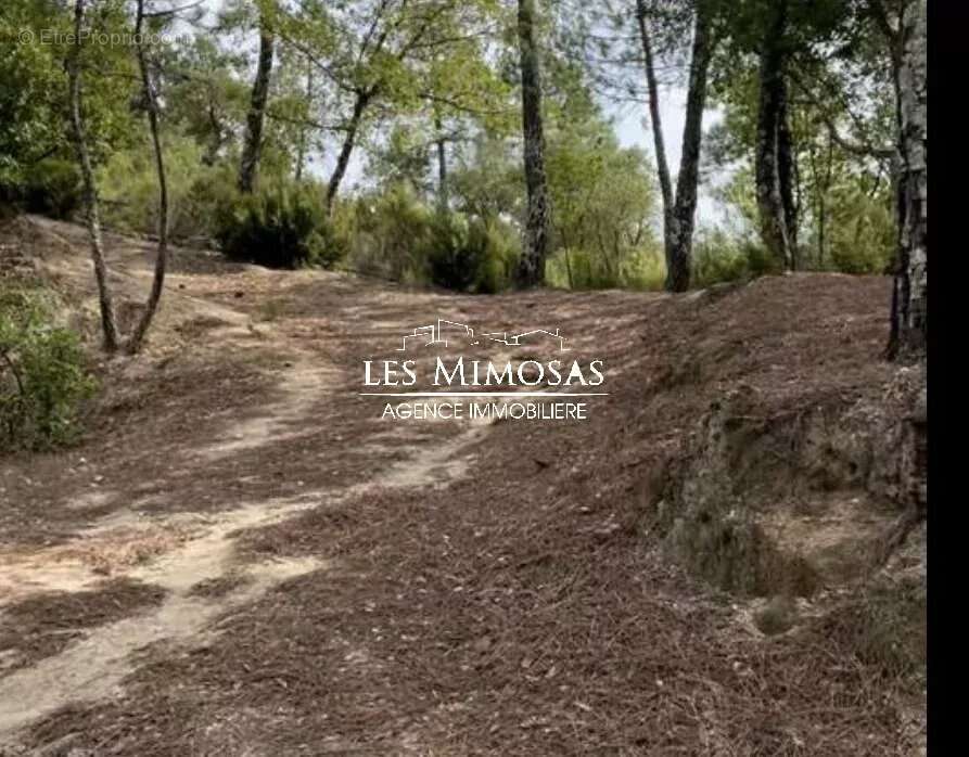 Terrain à LE MUY