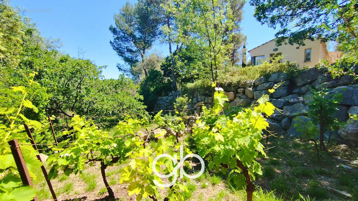 Maison à ASSAS