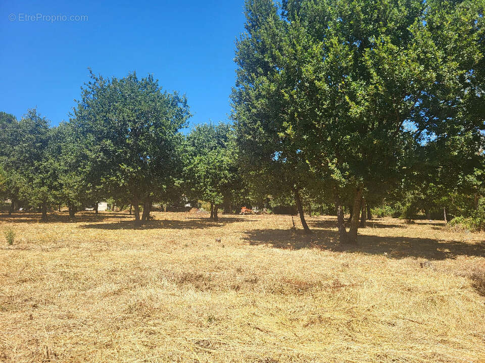 Terrain à MONTIGNARGUES
