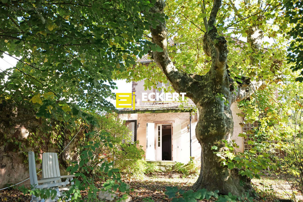 Maison 295 m² à Wolxheim  - photo 3