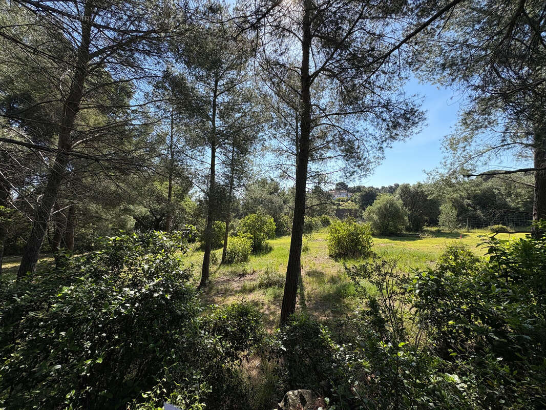 Terrain à OLLIOULES