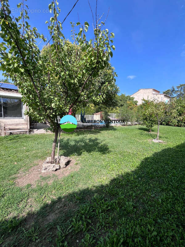 Maison à PERNES-LES-FONTAINES