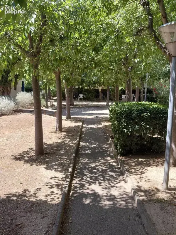Appartement - photo 8