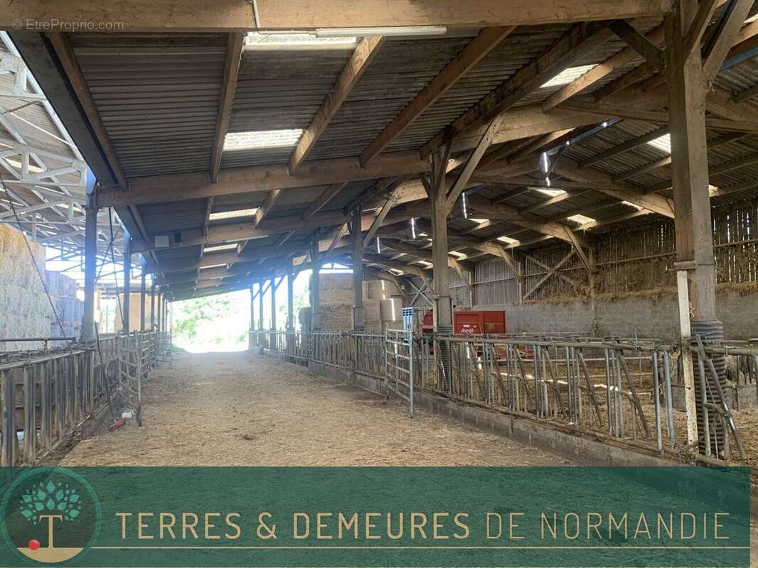 A VENDRE en NORMANDIE dans le département du CALVADOS région LE MOLAY-LITRY (14330) une exploitation agricole herbagère d'une su - photo 15