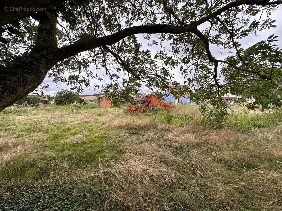 Terrain à VALPUISEAUX