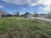 Terrain à MONDONVILLE