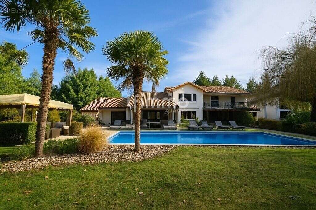 Maison d'architecte + maison indépendante – 5 300 m², piscine - photo 21