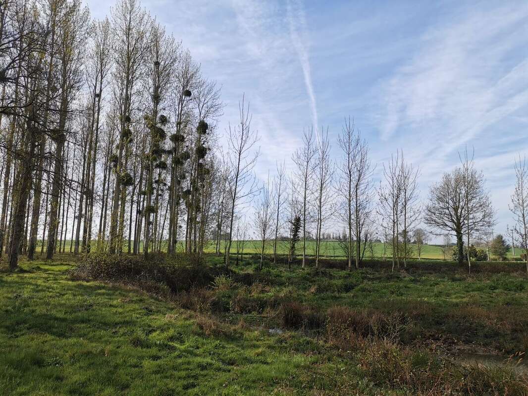 Terrain à CAULNES