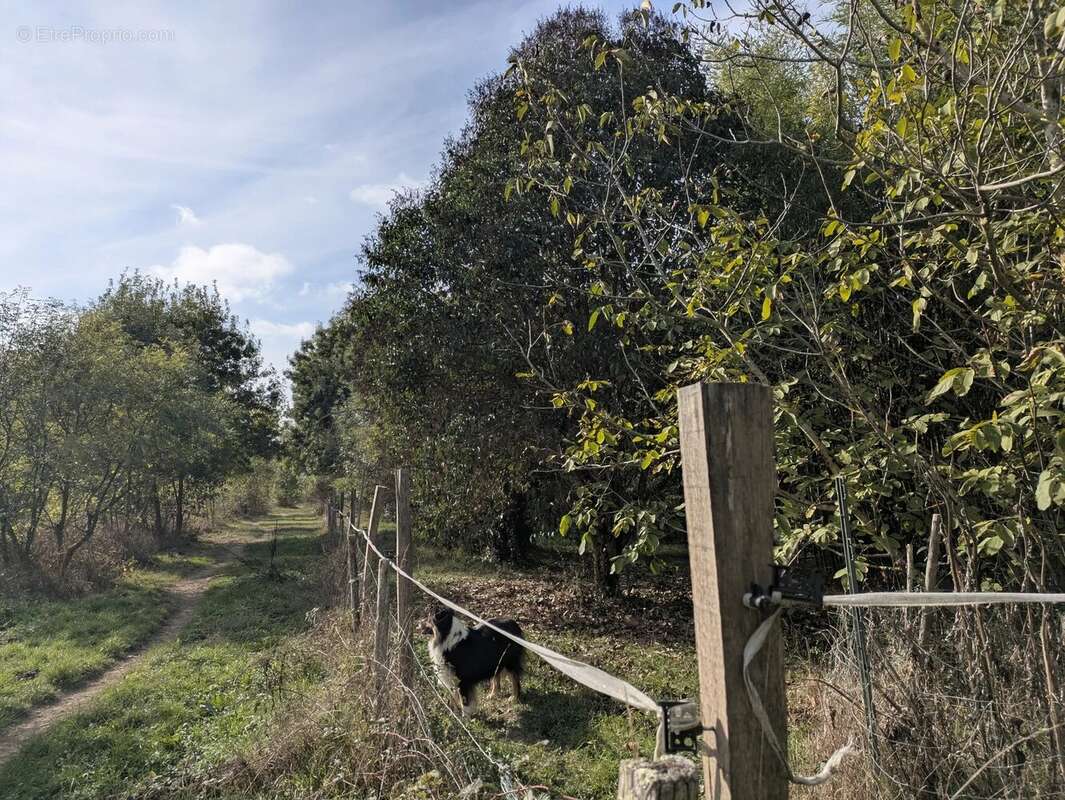 Maison à SAINT-NICOLAS-DE-LA-GRAVE