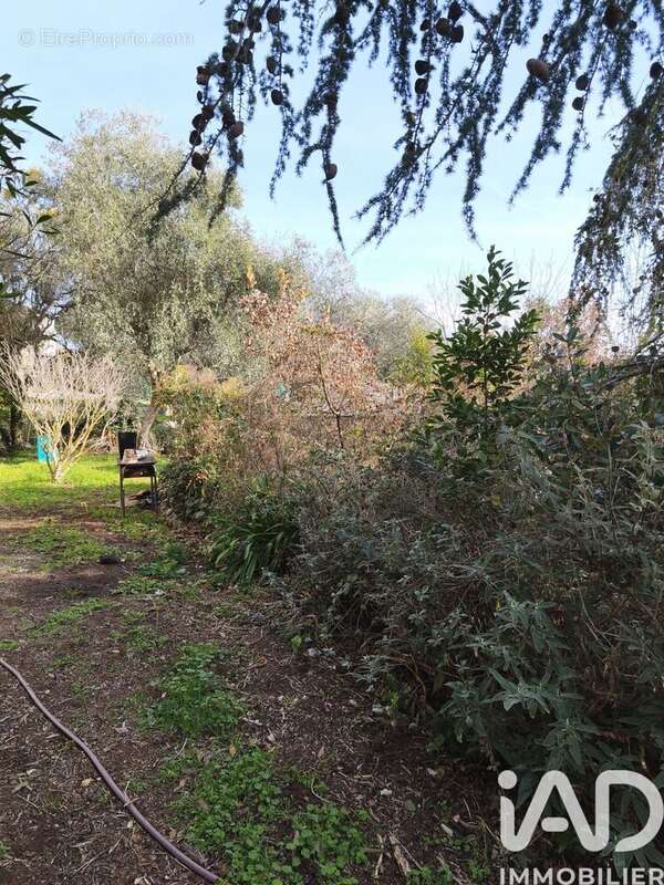 Photo 5 - Maison à SAINT-CEZAIRE-SUR-SIAGNE