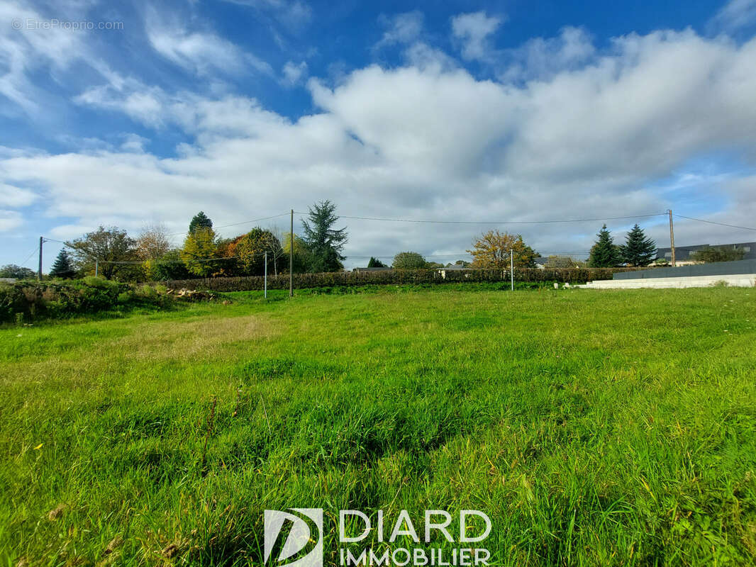 Terrain à LE PERTRE