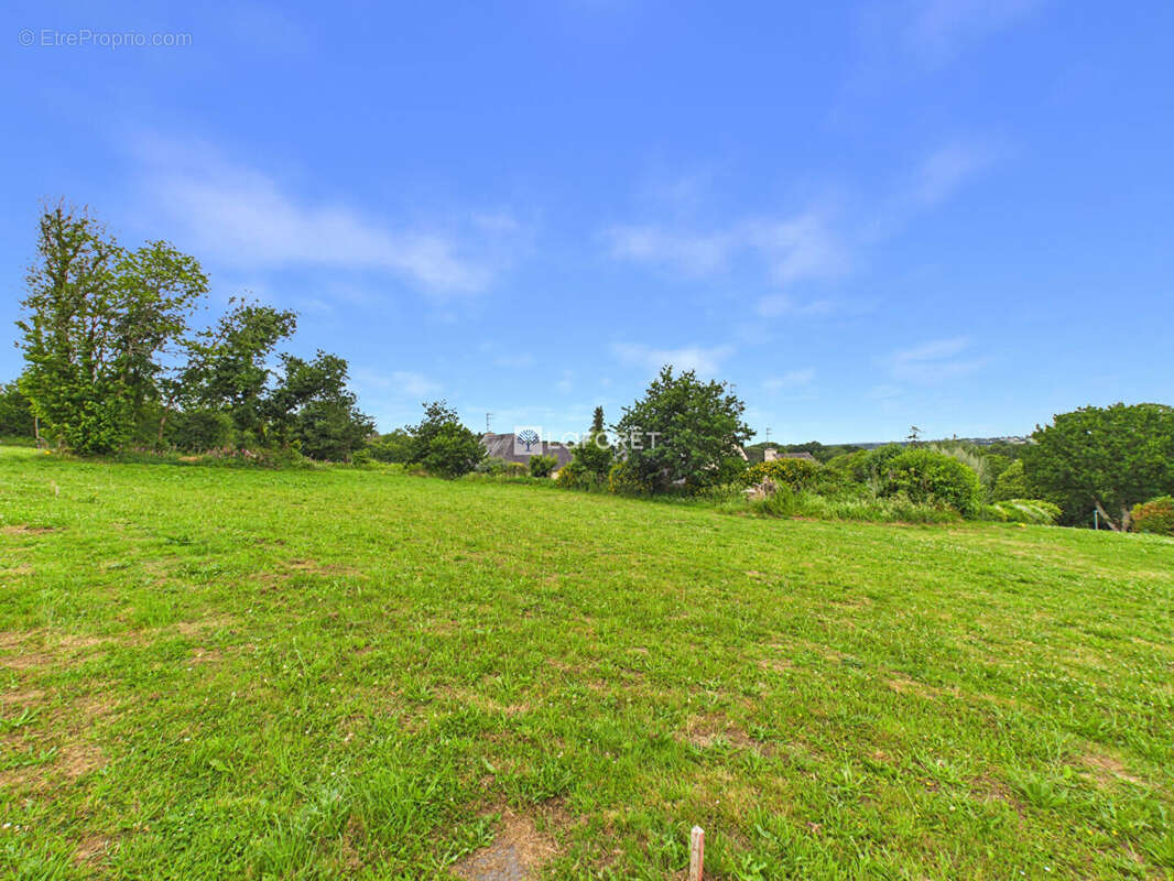 Terrain Saint Thois 545m2 - photo 2