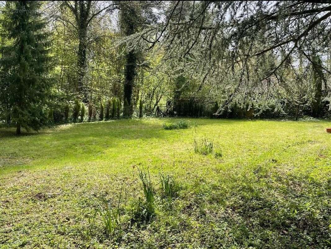 Photo 4 - Terrain à BOUQUEHAULT