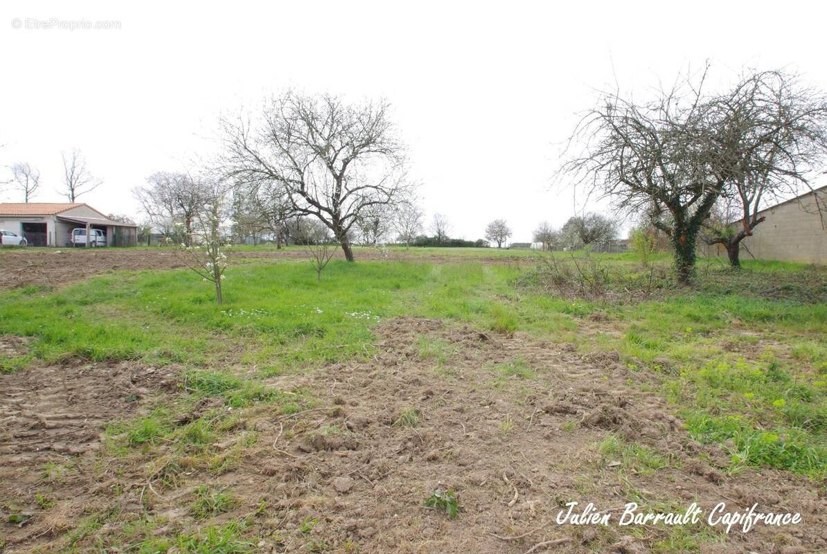 Terrain à SAINT-JULIEN-L'ARS